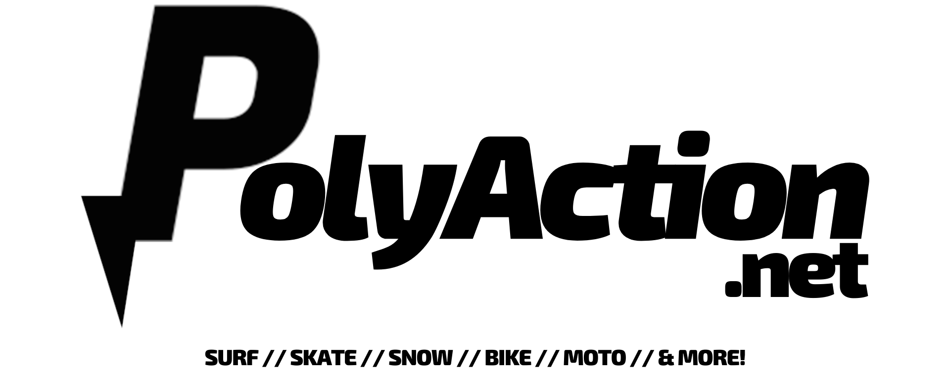 PolyAction.net